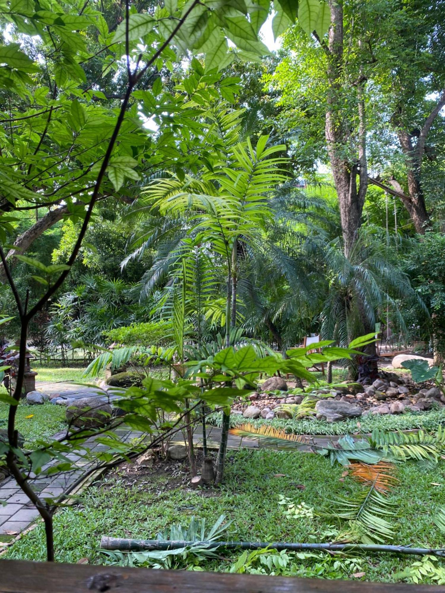 Bed and Breakfast Baan Orapin à Chiang Mai Extérieur photo